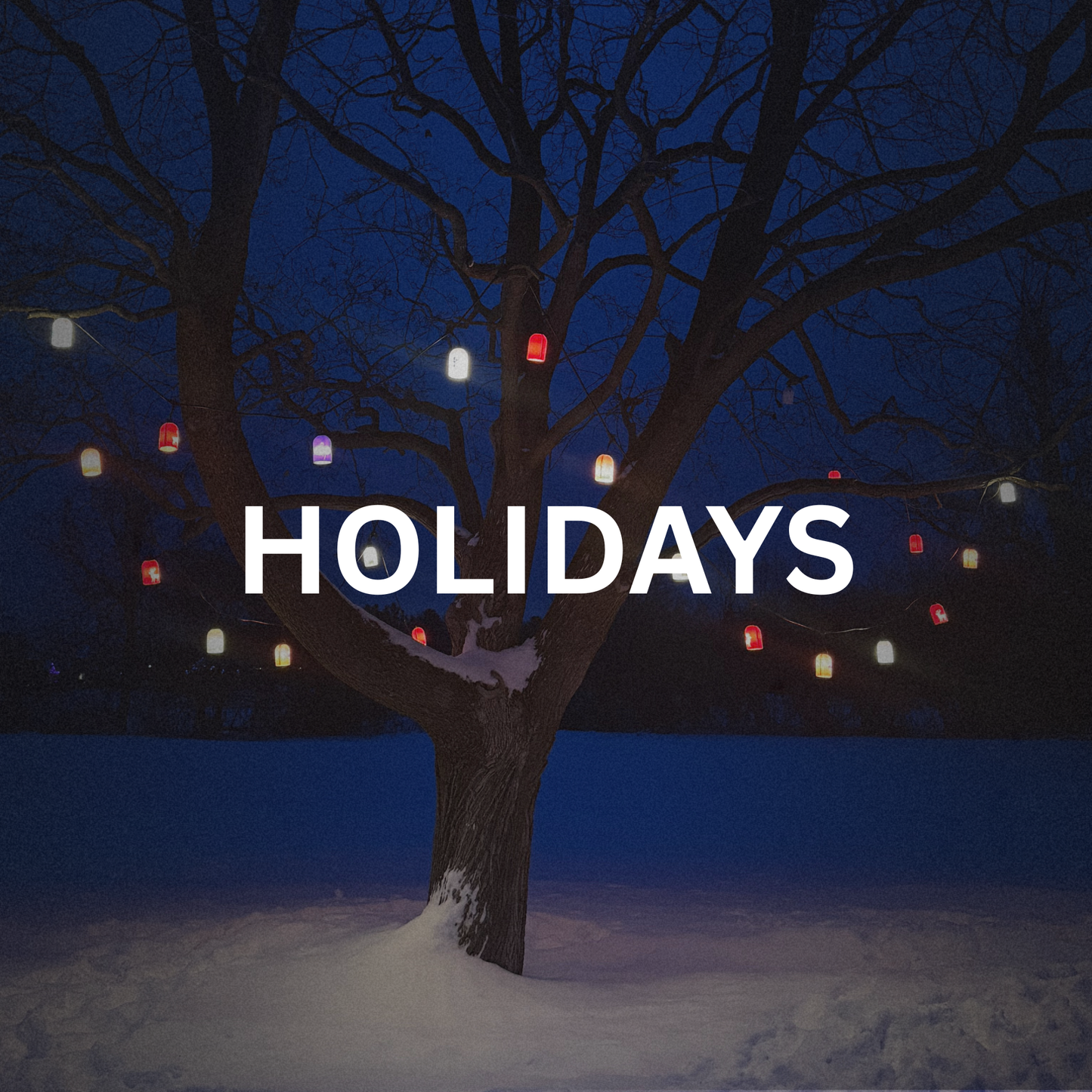 Holiday-Inspired SNAPS