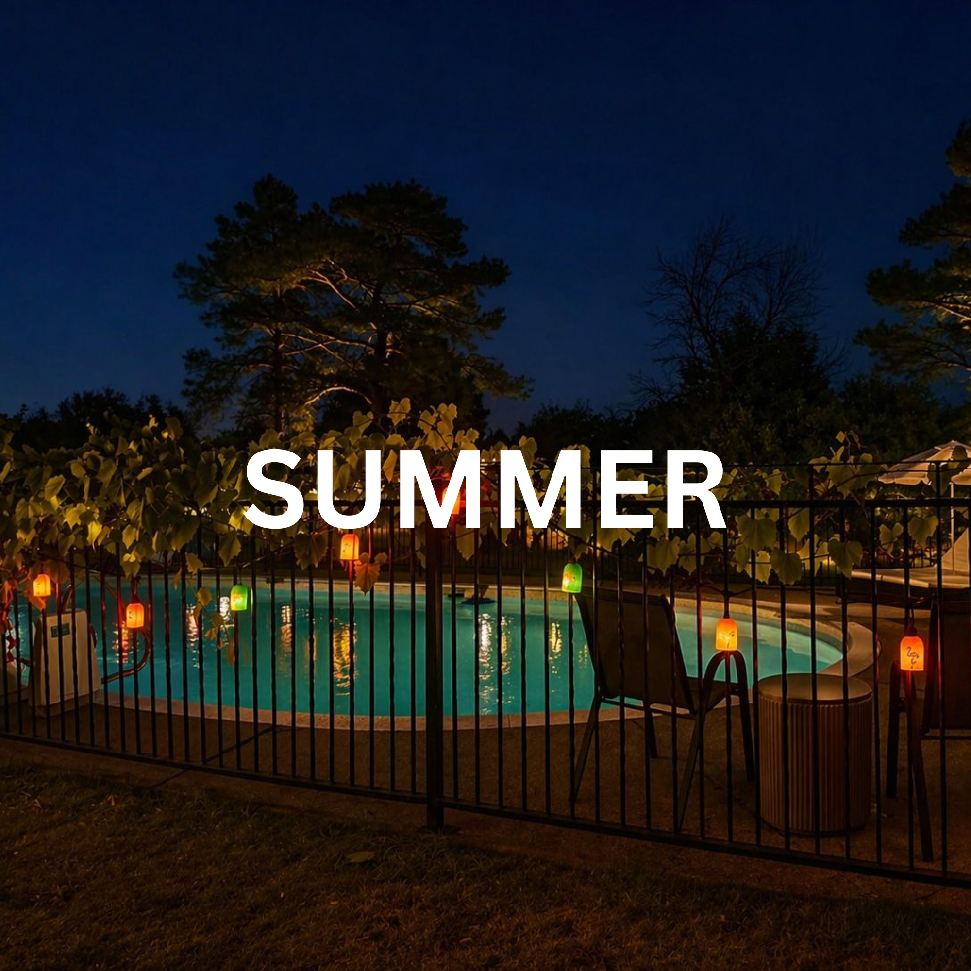 Summer-Inspired SNAPS